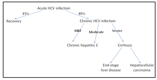 Spectrum of hepatitis C